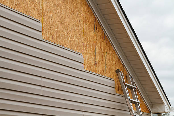 Professional Storm Damage Siding Repair technician working in Newell, WV